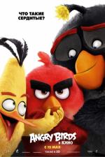  Angry Birds   / Angry Birds 