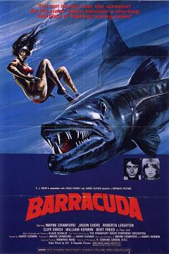    / Barracuda 