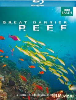       / Great Barrier Reef    