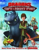    :    / Dragons: Gift of the Night Fury 