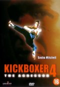    4:  / Kickboxer 4: The Aggressor    