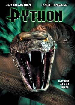    / Python    
