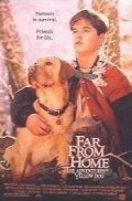      / Far from Home: The Adventures of Yellow Dog    