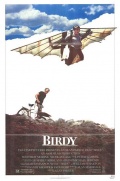    / Birdy    