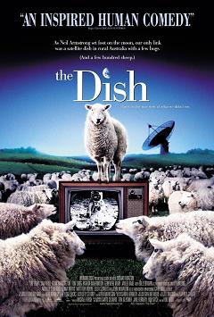     / The Dish    